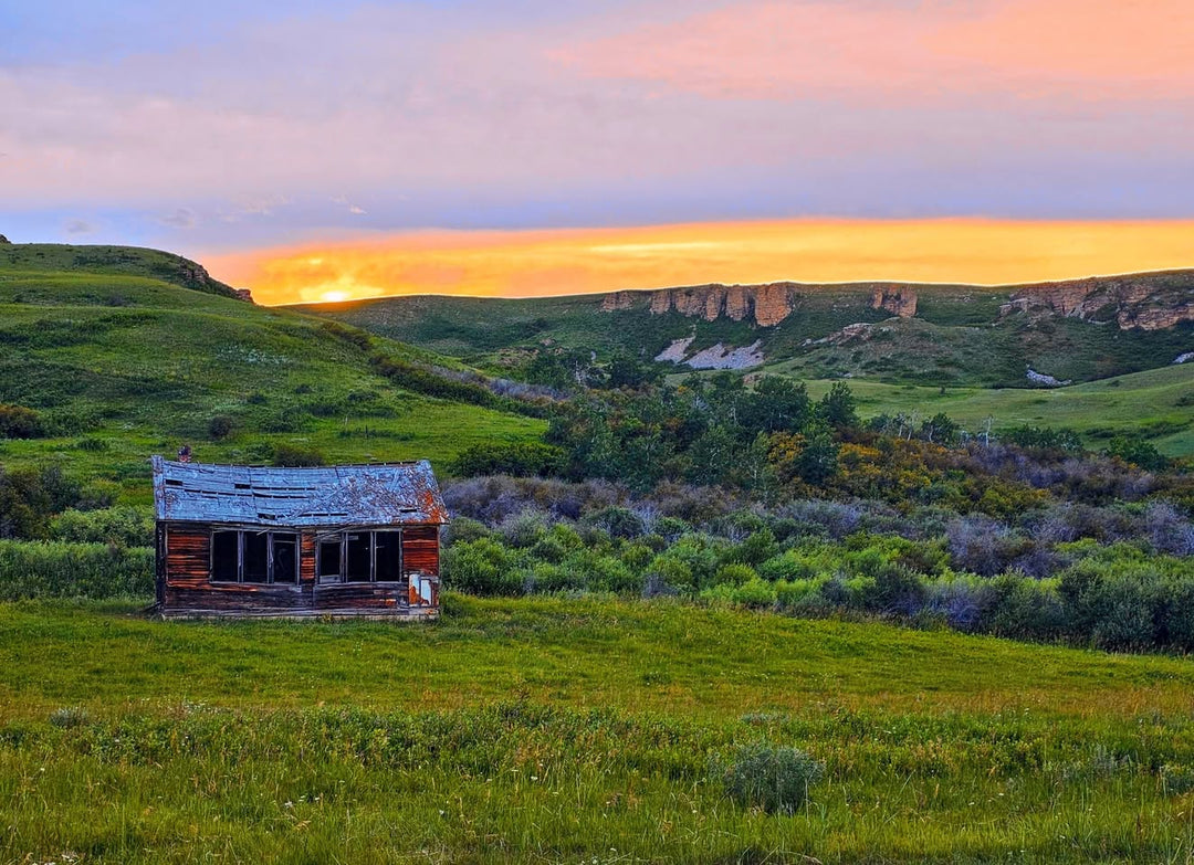 Homesteading the Montana Grasslands: The Rugged Roots of Public Land in America