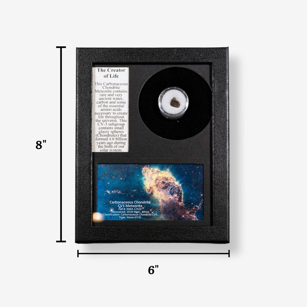 Carbonaceous Chondrite Meteorite