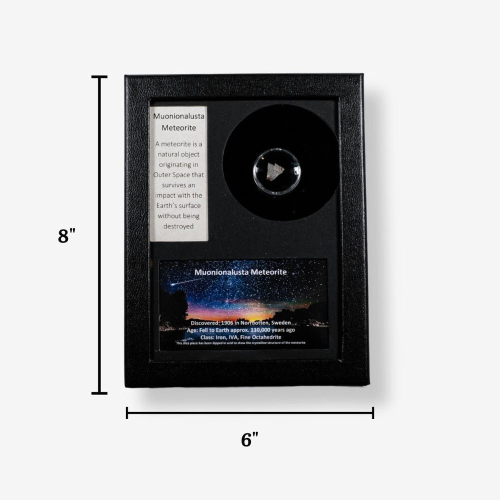 Muonionalusta Meteorite