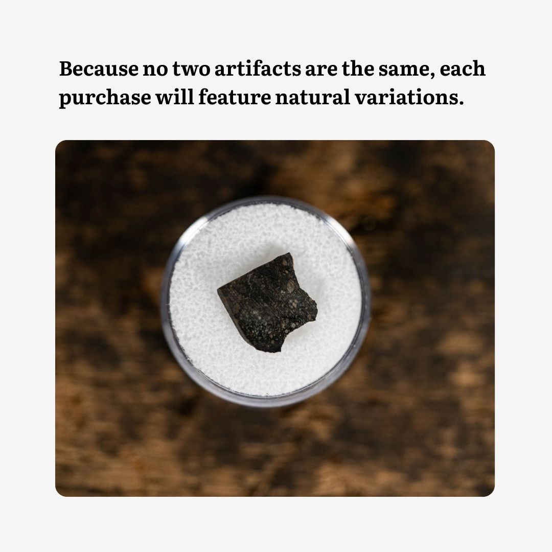 Rare Rumuruti (R3) Meteorite