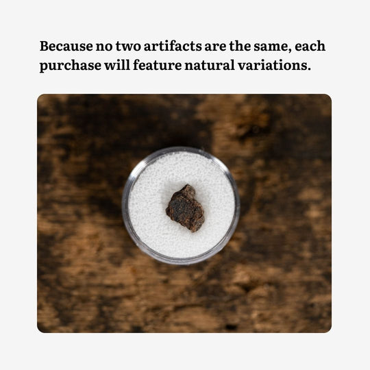 Carbonaceous Chondrite Meteorite