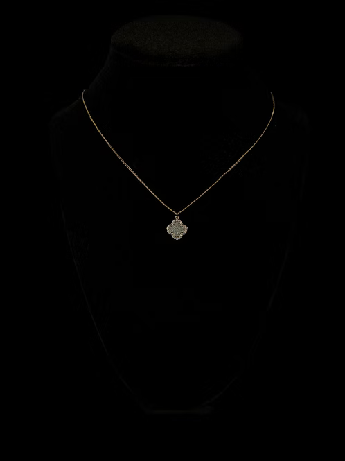 Aletai Meteorite Necklace