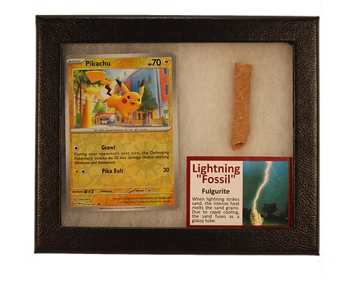 Pokemon Fulgurite Fossil Display - Pikachu