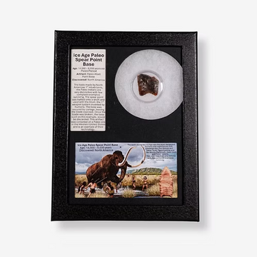 Ice Age Paleo Spear Point Base