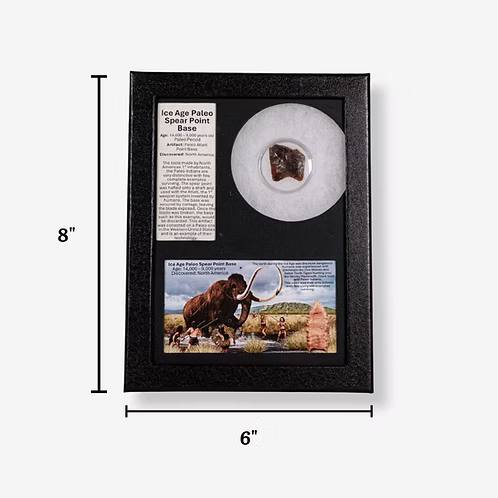 Ice Age Paleo Spear Point Base